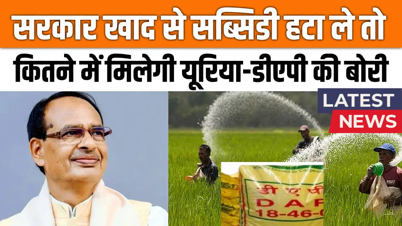 DAP Urea New Rate 2025